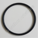 anel oring3.png